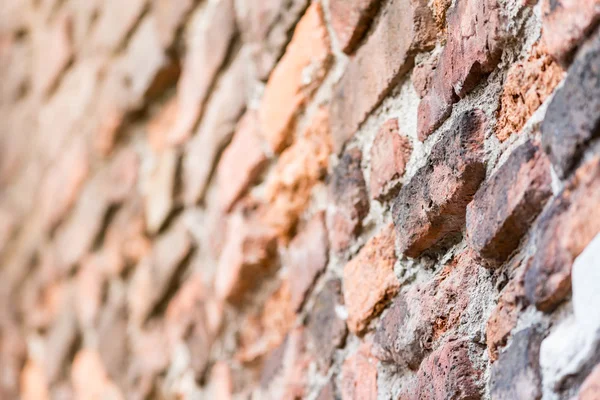 Brick wall texture — Stock Photo, Image