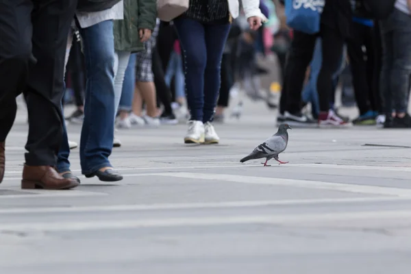 Persone shopping all'aperto in strada — Foto Stock