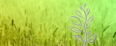 Yeşil yatay doğal arka plan