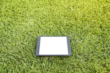 Çimenlerin üzerinde boş tablet