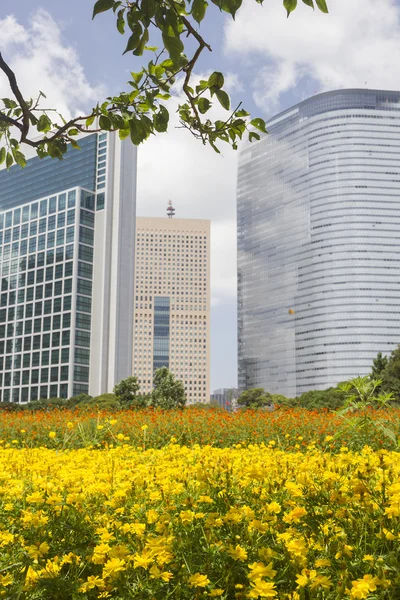 Shiodome finans bölgesine, Tokyo