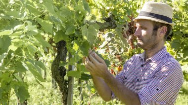 İş ve onun ürünleri kontrol çiftçi