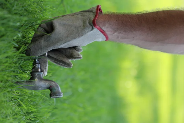 Spara vatten och natur begrepp — Stockfoto