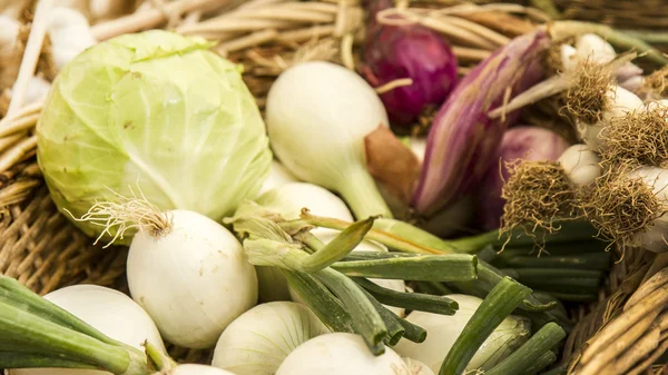 Selectie van salade, venkel en uien — Stockfoto