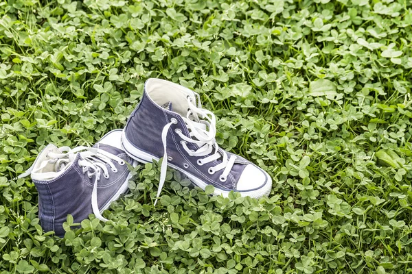 Sneakers på gräset — Stockfoto