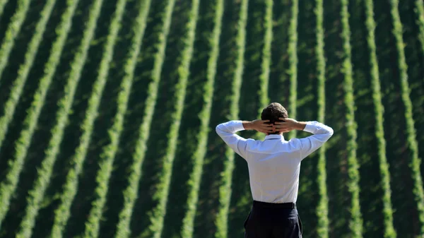 Concetti di business e natura — Foto Stock