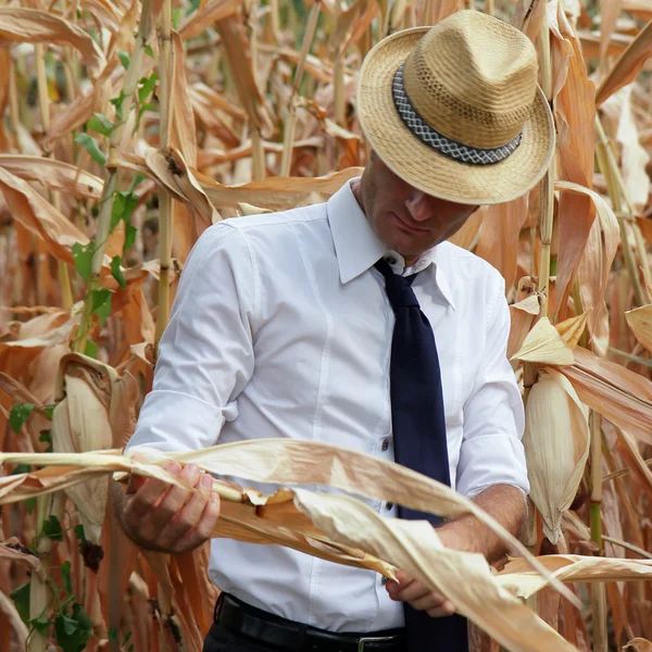 Üzleti és a gazda ellenőrzi a gabonafélékből készült termékek — Stock Fotó