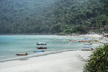 Malezya tropikal plaj