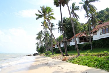Malezya tropikal plaj