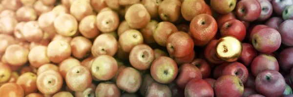 Golden apple standing out from the crowd — Stock Photo, Image