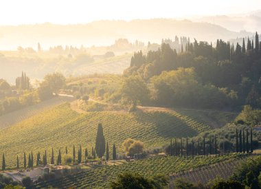 İtalya, Toskana 'da Idyllic kırsalında