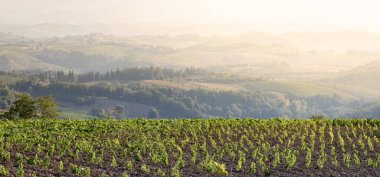 İtalya, Toskana 'da Idyllic kırsalında