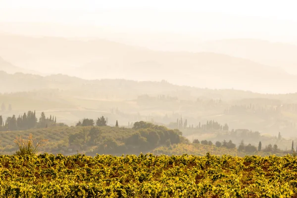 Campo Idílico Toscana Italia — Foto de Stock