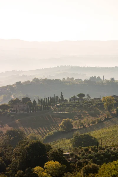 Campo Idílico Toscana Italia — Foto de Stock