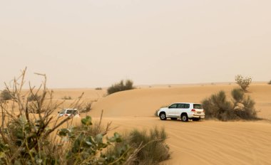 Kum tepelerindeki safari