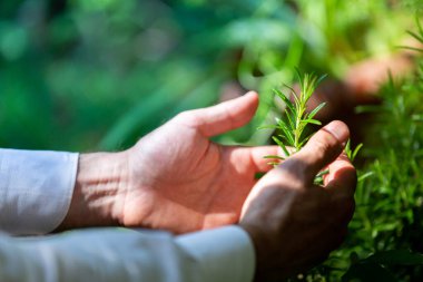 Bahçede fesleğen, refah ve doğa kavramları topluyoruz.
