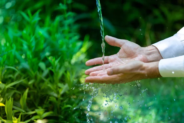 Färskvatten Trädgården Välbefinnande Och Naturbegrepp — Stockfoto