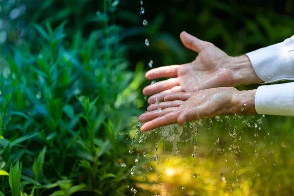 Färskvatten Trädgården Välbefinnande Och Naturbegrepp — Stockfoto