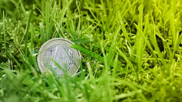 Egy Euro pénzérme a fűben — Stock Fotó