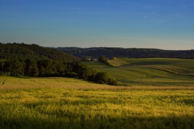 Çayır, mera ve tepelik kırsal alanları üzerinde pastoral manzara Panoraması