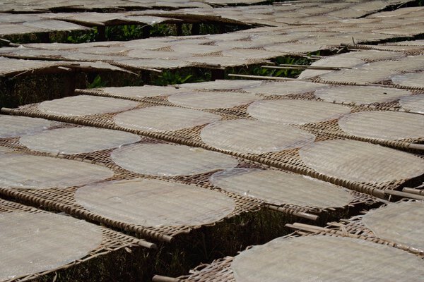 Рисовые блинчики высыхают на солнце на заводе рисовой лапши
.