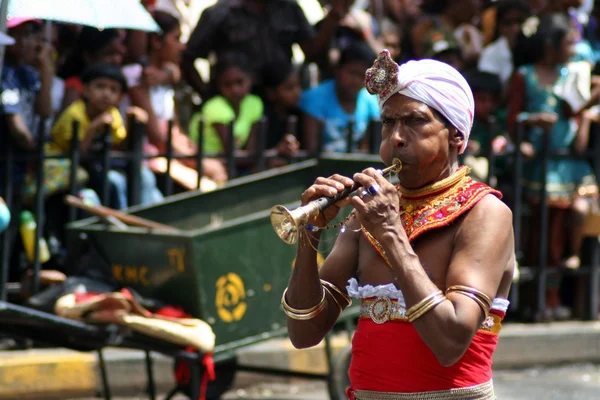 Trębacz gra na Perehara festiwalu, Kandy — Zdjęcie stockowe