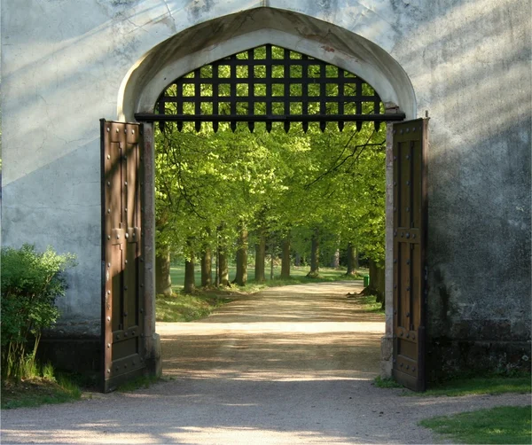 Square photo of opened doors of the historical gate with bars up — Stock Photo, Image