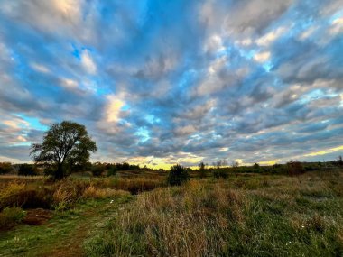 Kırsal alan yalnız bir ağacı, yeşil ve kuru otları ve renkli günbatımı bulutlarını gösteriyor.