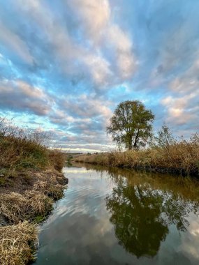 Gökyüzünü yansıtan huzurlu nehir ve kıyılarında kuru sazlıklar olan yeşil ağaç