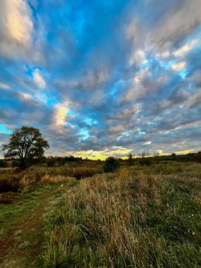 Kırsal yol, dramatik bir akşam gökyüzünün altındaki vahşi bir tarlaya çıkıyor.
