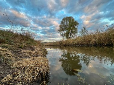 Bulutlu bir gökyüzünü yansıtan nehir ve kuru bitki örtüsüyle çevrili uzak bir ağaç.