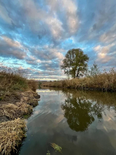 Bulutlu bir gökyüzünü yansıtan nehir ve alacakaranlıkta kıyısında yalnız bir ağaç.