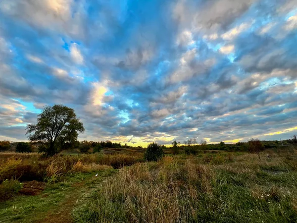 Kırsal alan yalnız bir ağacı, yeşil ve kuru otları ve renkli günbatımı bulutlarını gösteriyor.