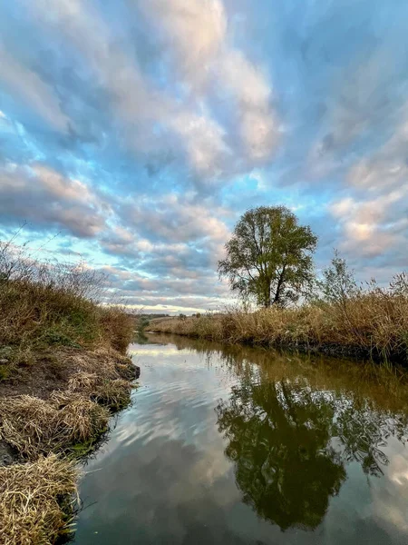 Gökyüzünü yansıtan huzurlu nehir ve kıyılarında kuru sazlıklar olan yeşil ağaç