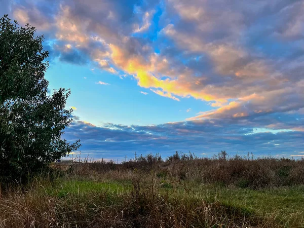 Altın saat güneşi, kabarık bulutları mavi gökyüzünde vahşi çimlerin üzerinde boyuyor.