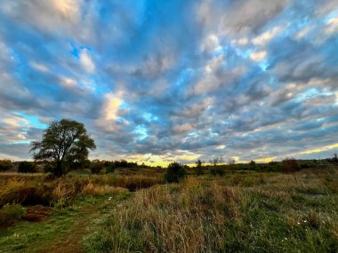 Kırsal alan yalnız bir ağacı, yeşil ve kuru otları ve renkli günbatımı bulutlarını gösteriyor.