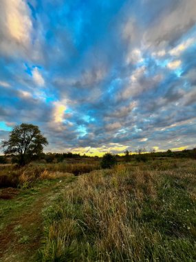 Kırsal yol, dramatik bir akşam gökyüzünün altındaki vahşi bir tarlaya çıkıyor.