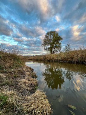 Kırsal kesimde nehir, ıssız bir ağacı ve bulutlu gökyüzünü yansıtır.