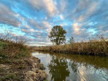 Söğüt ağacı ve sazlıklar dramatik bulutlu bir gökyüzünün altındaki sakin bir nehre yansıyor