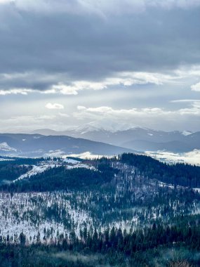Karla kaplı dağ sırası dramatik bulutlu gökyüzünün altında yoğun bir çam ormanı barındırıyor.