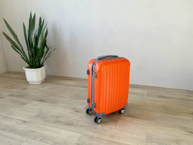 Turuncu sert kabuklu bavul ahşap zeminde saksıda duruyor.