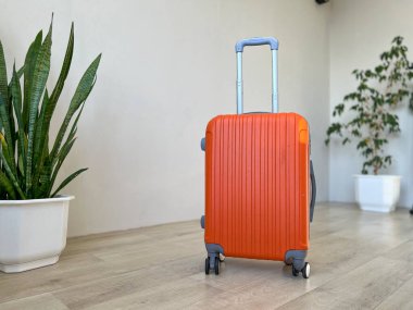 Turuncu bavul, yeşil saksıların arasında, ahşap zeminde duruyor.