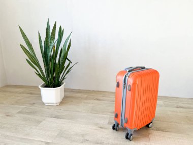 Turuncu bavul, tahta zeminde yılan bitkisiyle duruyor. Seyahat ve minimalist yaşamı simgeliyor.