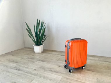 Turuncu bavul ahşap zeminde, yeşil bir yılan bitkisinin yanında, yolculuğa hazırlanıyor.