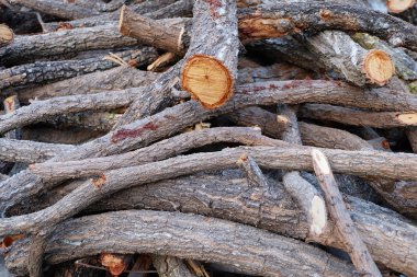 ahşap günlükleri doku arka plan