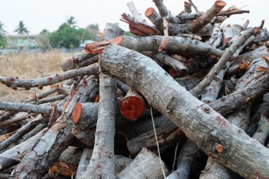 Kırsal kesimdeki istiflenmiş odun kütüklerinin yakın plan görüntüsü