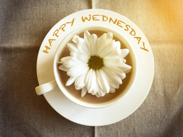 Cangkir kopi di atas meja dengan bunga daisy putih Happy Wednesday word vint — Stok Foto