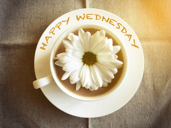 Taza de café en la mesa con margarita blanca - Feliz miércoles palabra vint — Foto de Stock