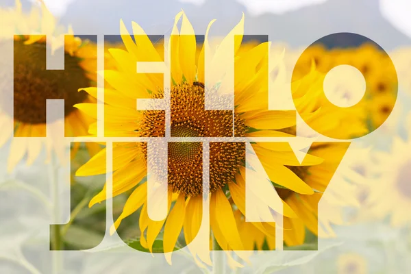 Hallo juli word op zonnebloem achtergrond — Stockfoto