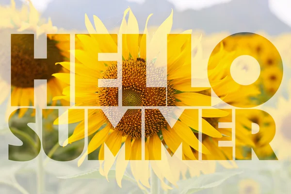 Hallo zomer word op zonnebloem achtergrond — Stockfoto